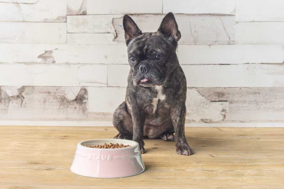 新商品の通販 | ツヴィリング公式オンラインショップ